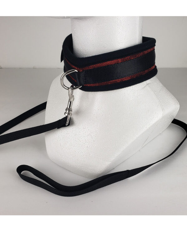 Spartacus Collar & Leash - Neoprene Red - Image 3