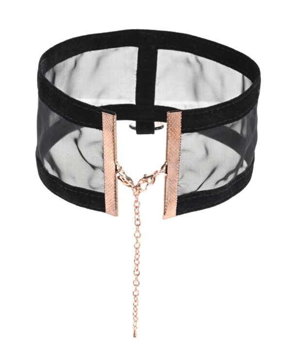 Sex & Mischief Sheer Day Collar - Image 3