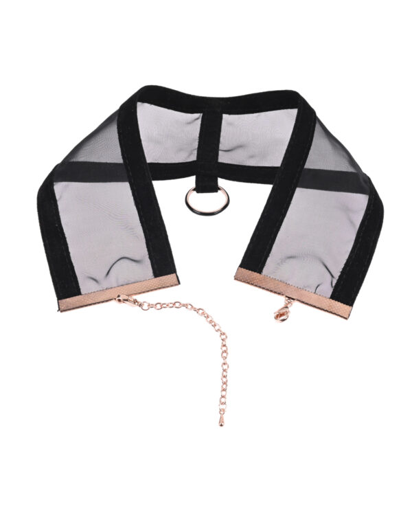 Sex & Mischief Sheer Day Collar - Image 4