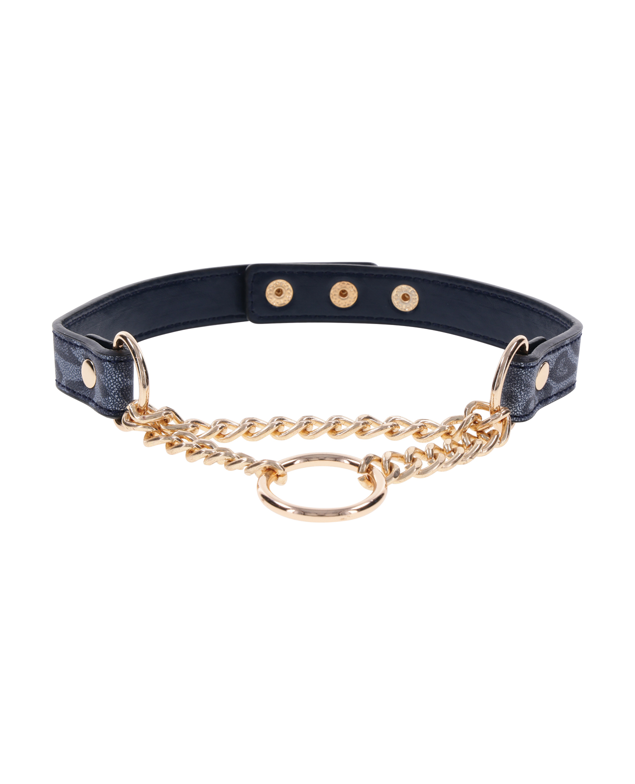 Cougar Day Collar - Image 2