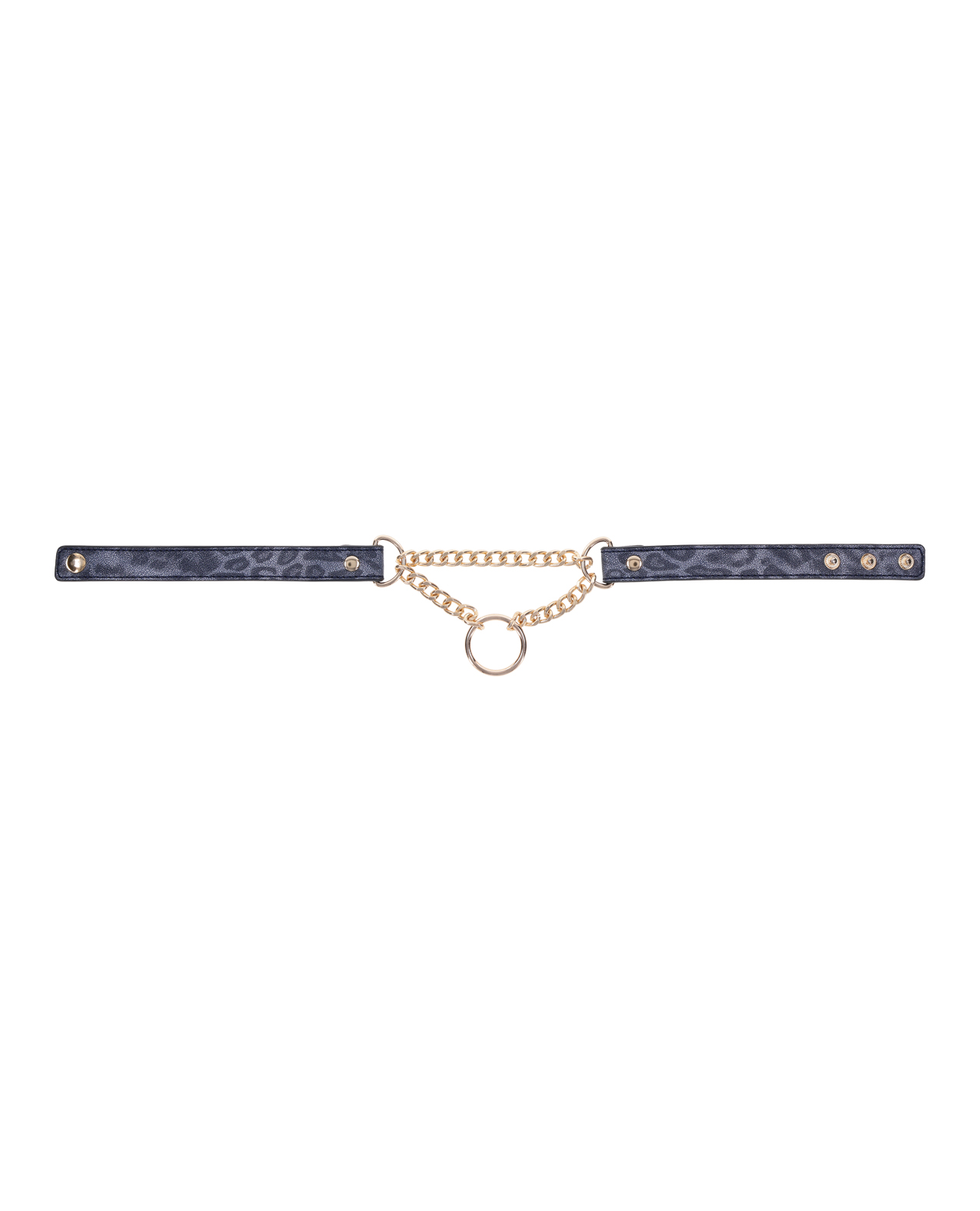 Cougar Day Collar - Image 5