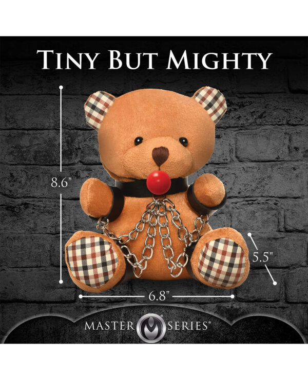Master Series Gagged Teddy Bear Plush - Image 4