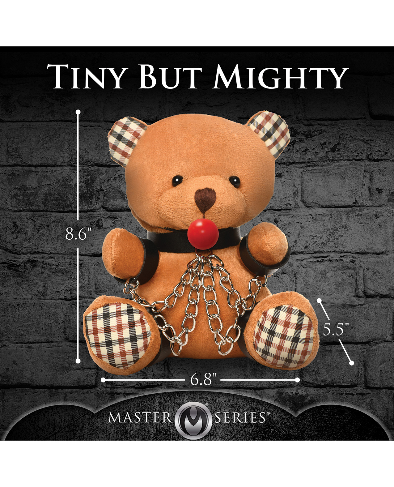 Master Series Gagged Teddy Bear Plush - Image 4