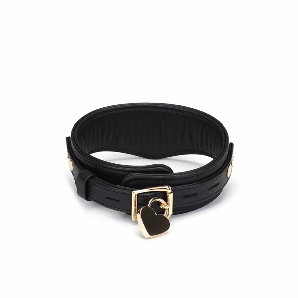 Deluxe Curved Collar with Chain Leash & Lock - Black - Image 2