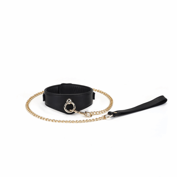 Deluxe Curved Collar with Chain Leash & Lock - Black
